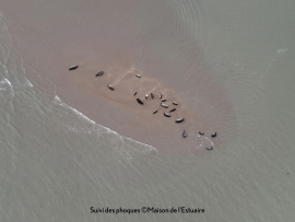 Utilisation expérimentale du drone au service de la gestion de la réserve naturelle 2