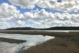 Gestion de la réserve de chasse du Banc Herbeux 2