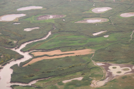 Gestion de la réserve de chasse du Banc Herbeux 3