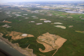Gestion de la réserve de chasse du Banc Herbeux 4