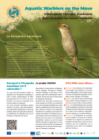 Lancement du projet européen LIFE AWOM en faveur du Phragmite aquatique 2