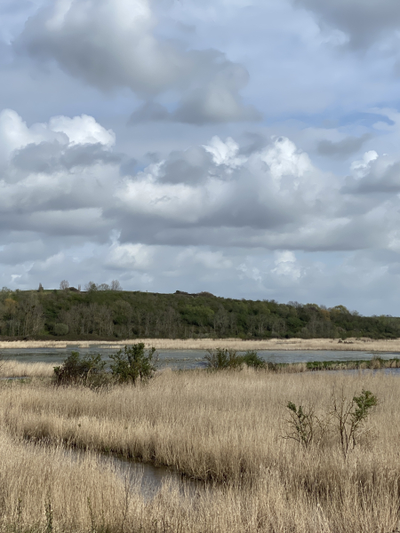 Découverte de la réserve au marais du Hode - 13/04