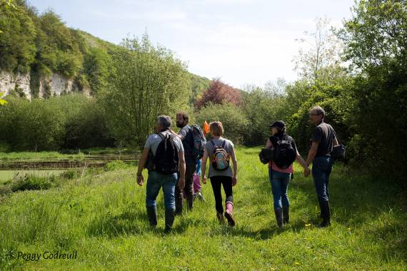 La vie foisonnante des cressonnières - 14/06