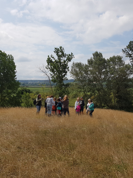 Mercredi Nature de l'été - thème surprise ! 21/08 Mercredi Nature de l'été - thème surprise ! 21/08