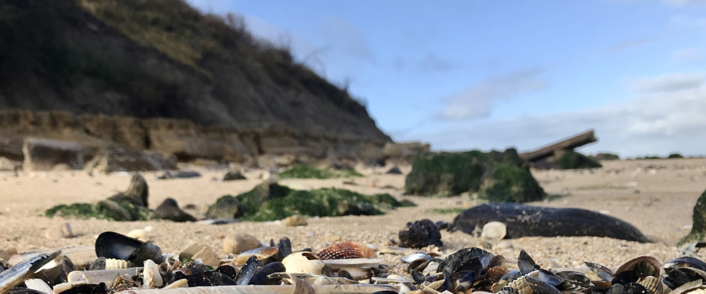 Quand les Roches noires se racontent - 15/02