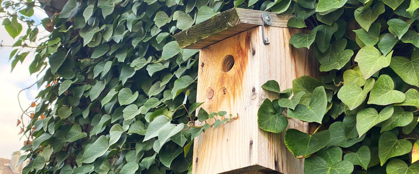 Mercredi Nature - On prépare le printemps ! 18/02