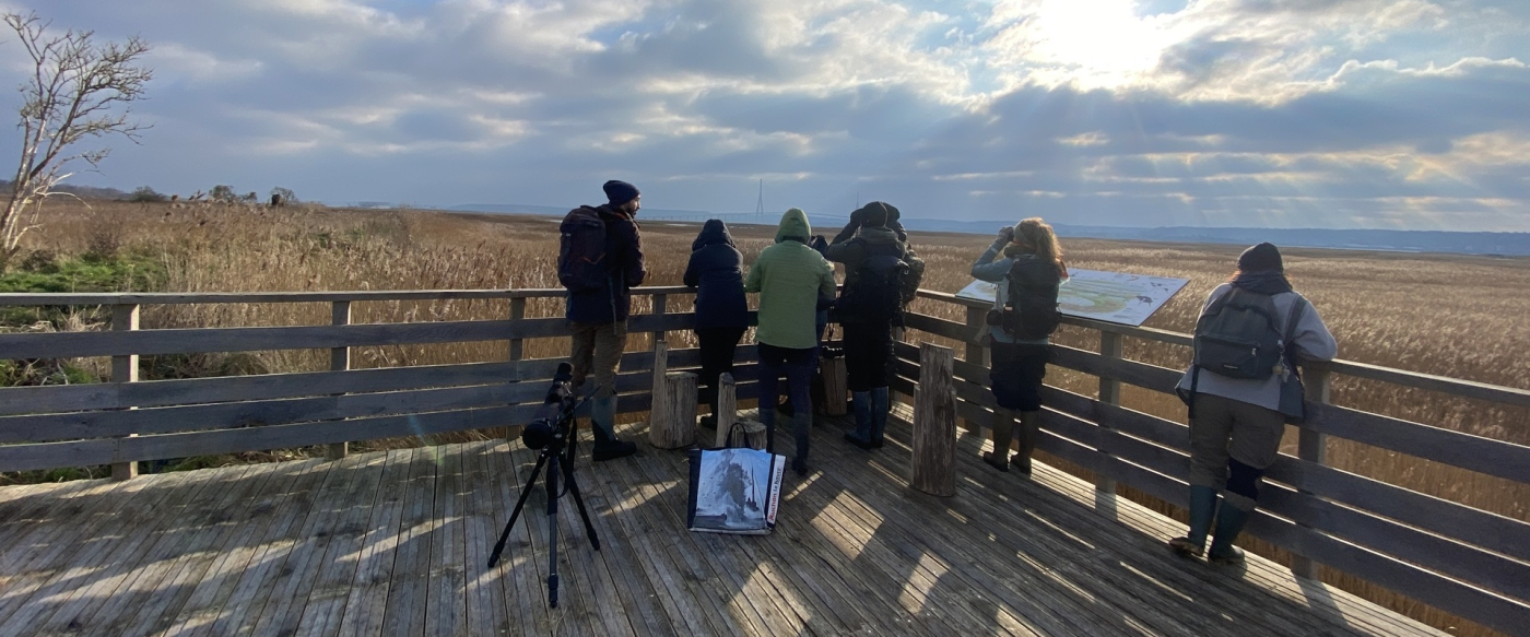 Découverte de la réserve au marais d'Amfard  - 01/03
