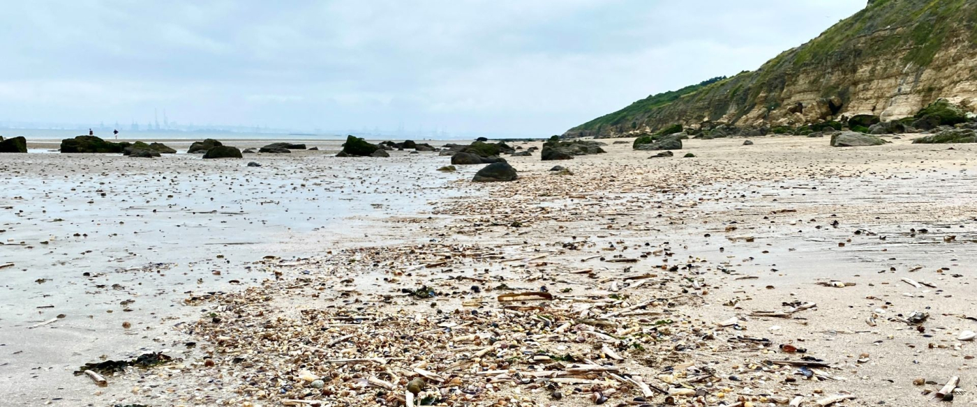 Pêche à pied naturaliste - 12/09