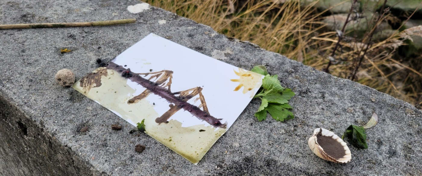 Peinture sauvage - 26/09