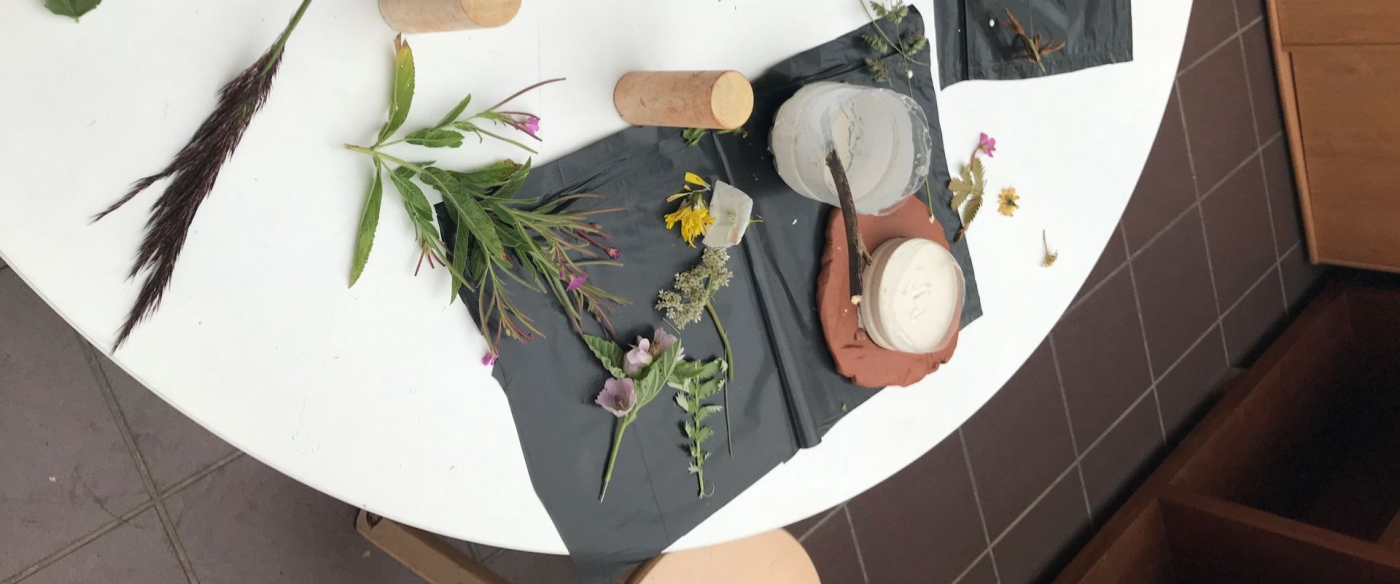 Mercredi Nature -  Empreintes végétales - 21/10