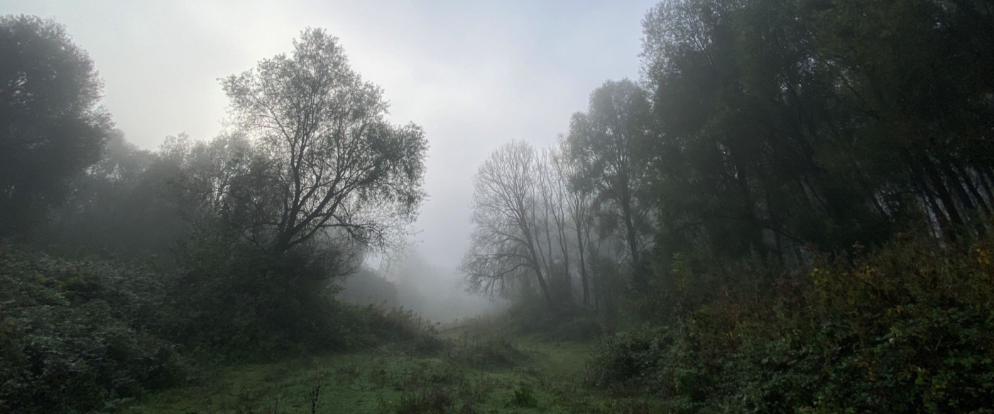 Mercredi Nature - C'est l'automne ! - 28/10