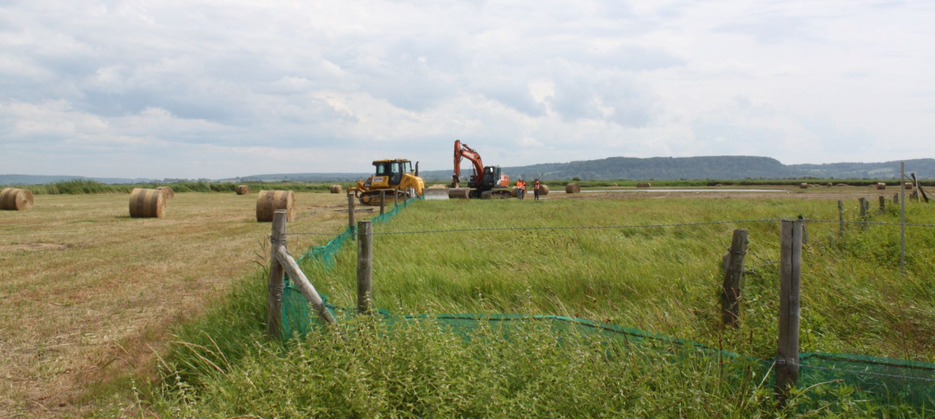 Chantier d'éradication d'une première station de Jussie à grandes fleurs dans la réserve