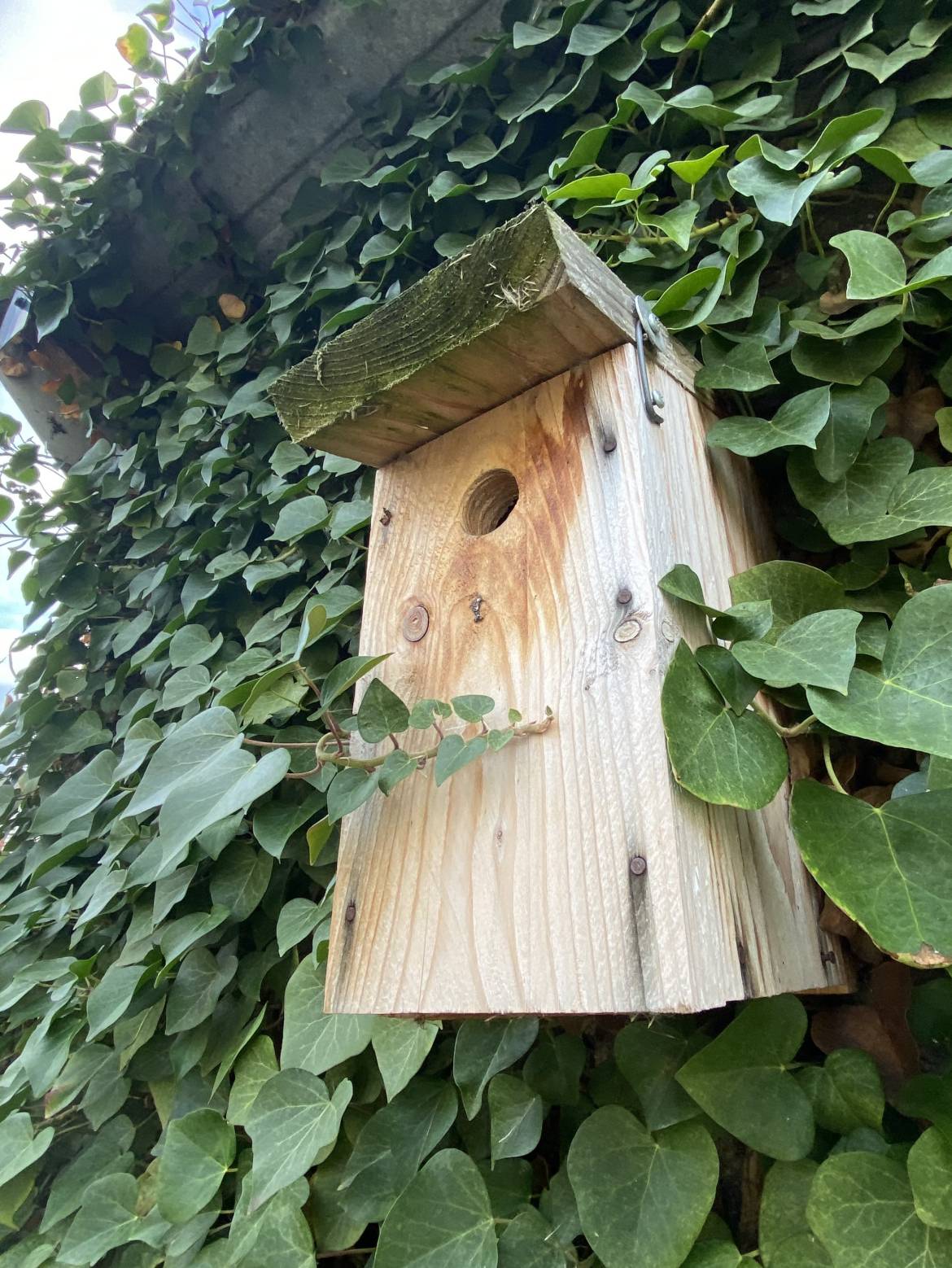 Mercredi Nature - On prépare le printemps ! 18/02