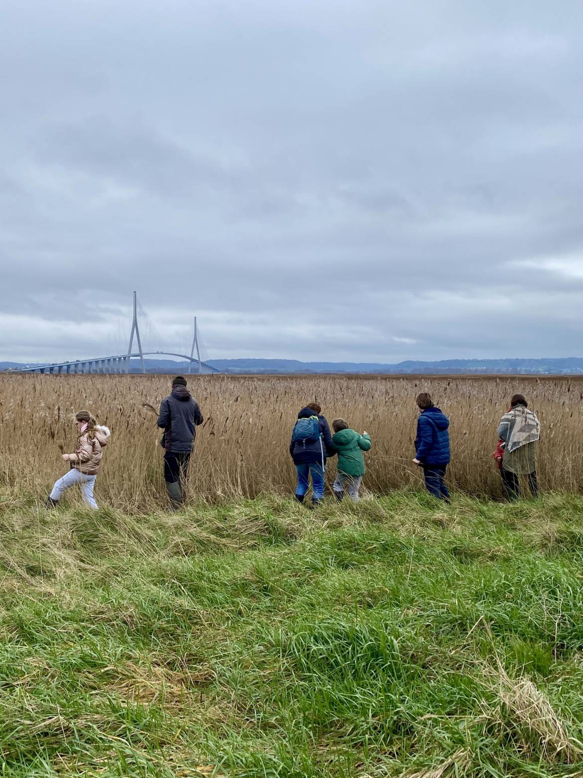 Mercredi Nature - Ça bouge dans l'estuaire ! - 15/04