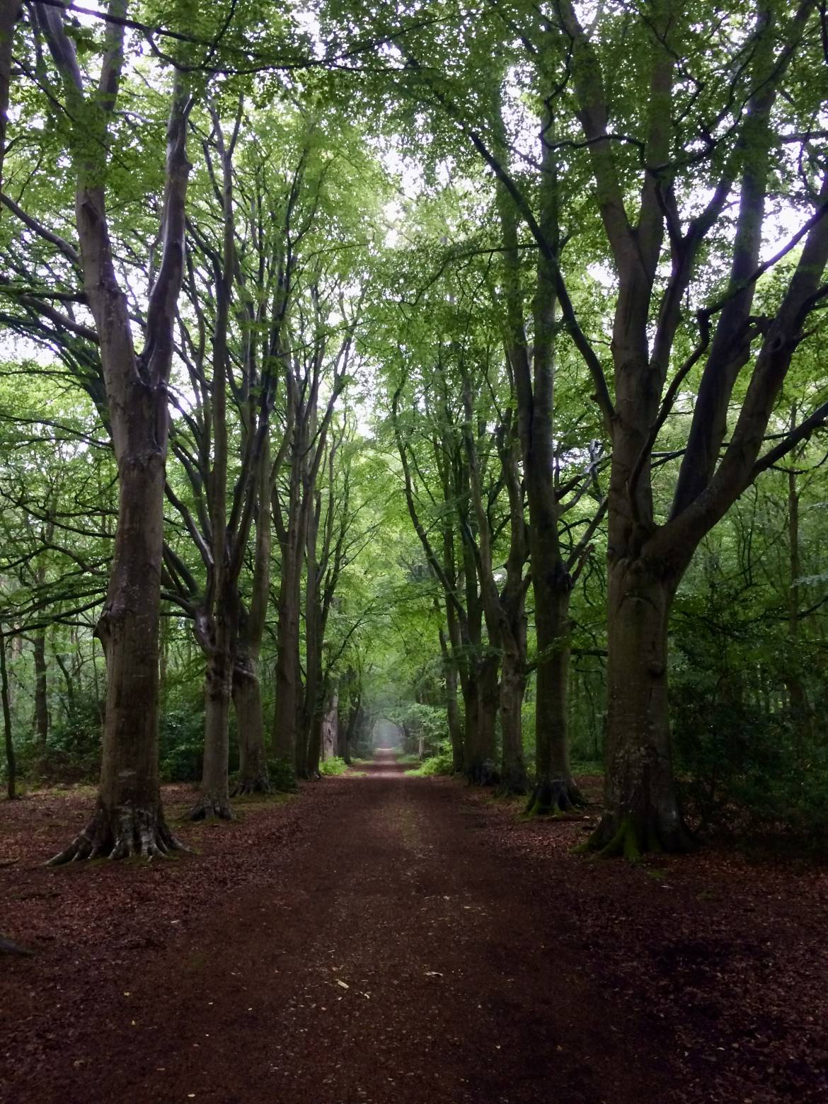 Randonnée crépusculaire entre terre et mer - 05/06