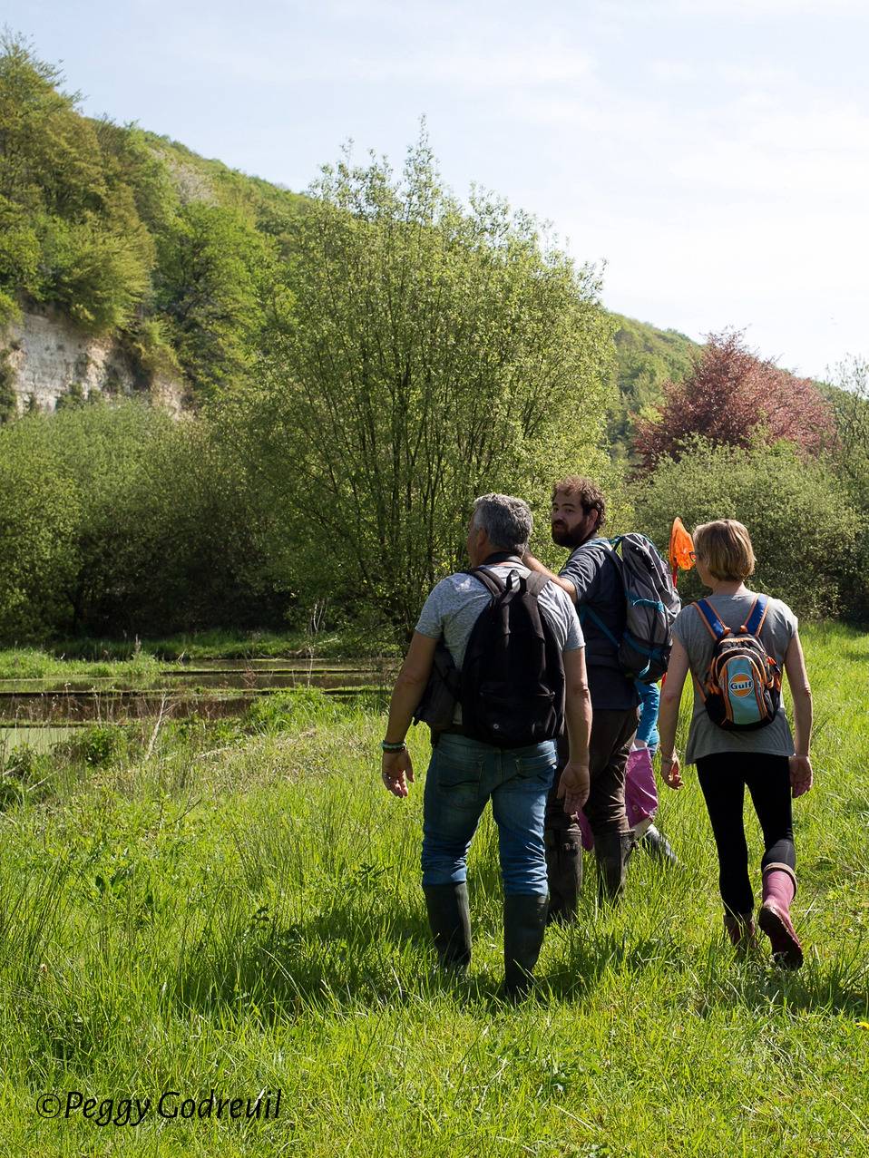 La vie foisonnante des cressonnières - 14/06