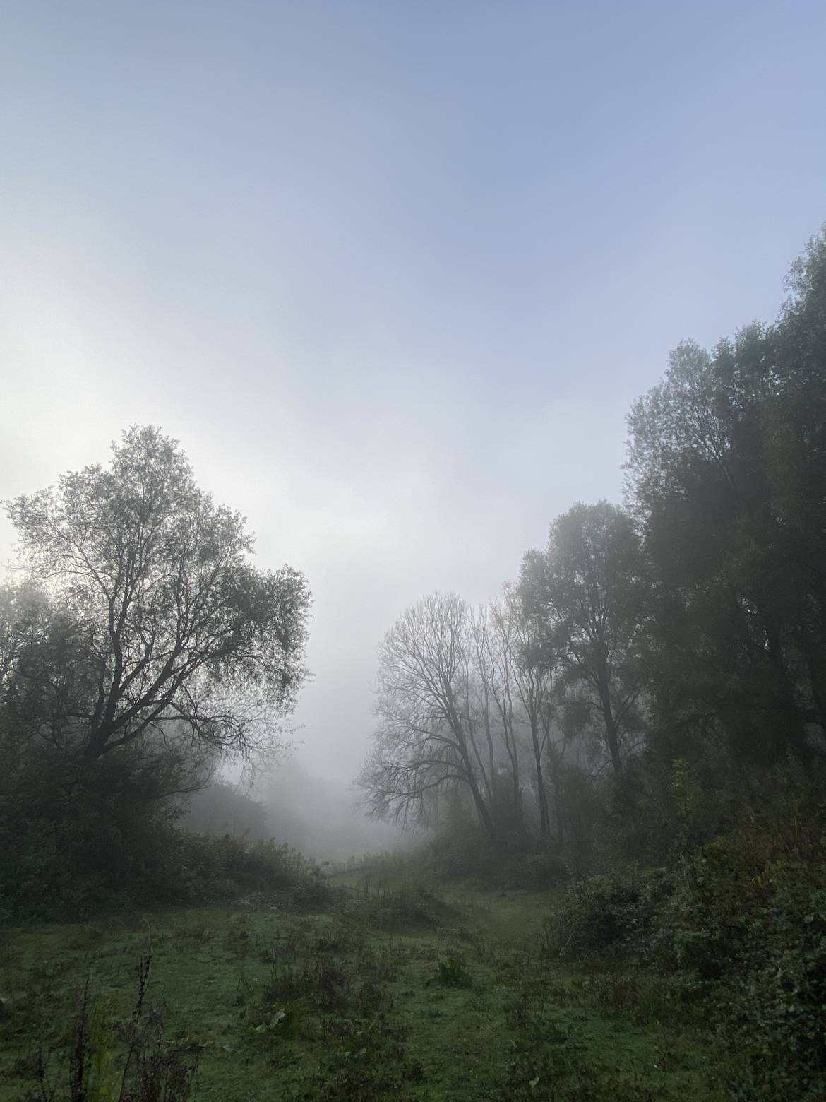 Mercredi Nature - C'est l'automne ! - 28/10