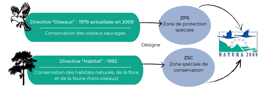Schéma explicatif du fonctionnement de Natura 2000