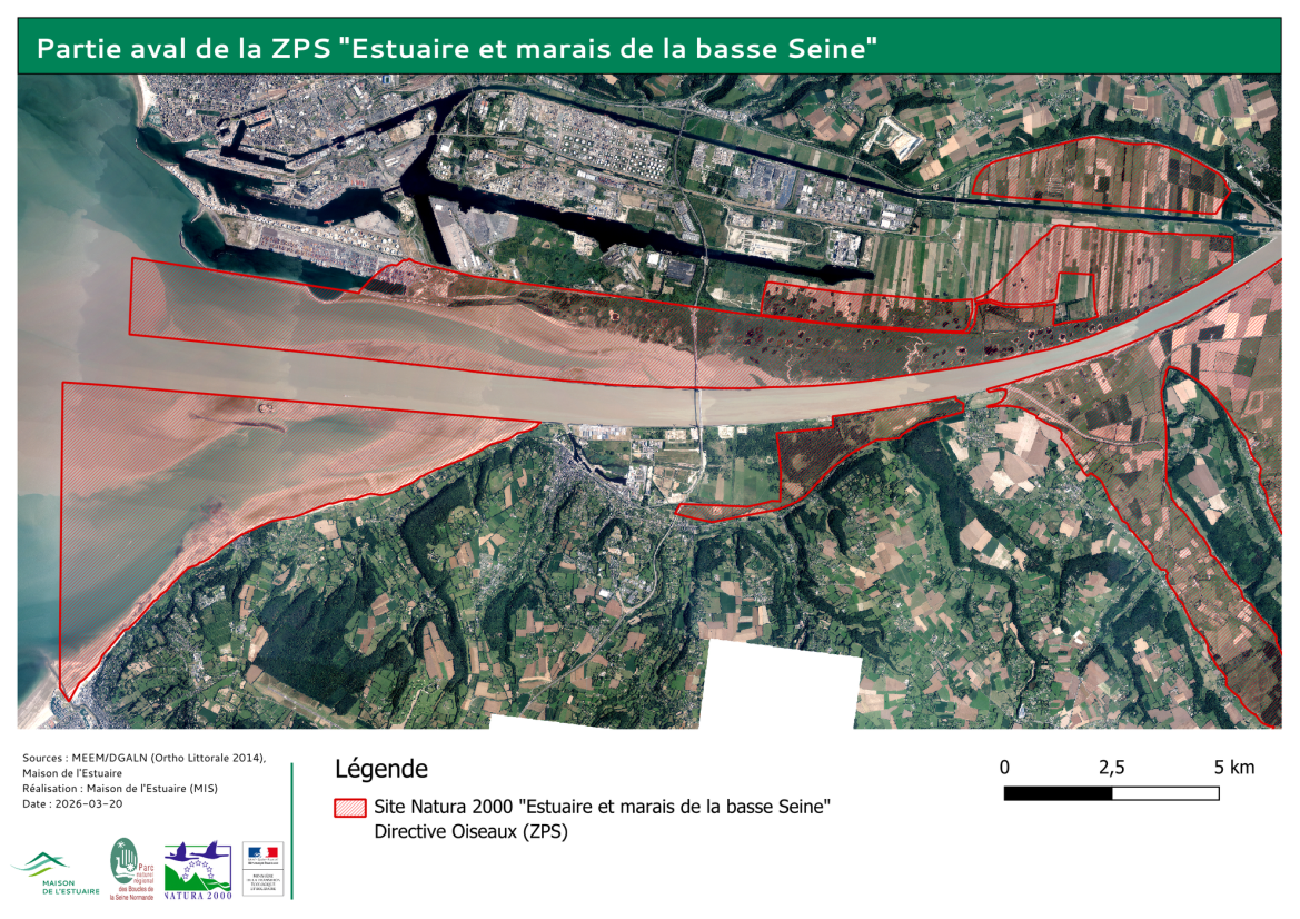 Cartographie du périmètre de la ZPS "Estuaire et marais de la basse Seine"
