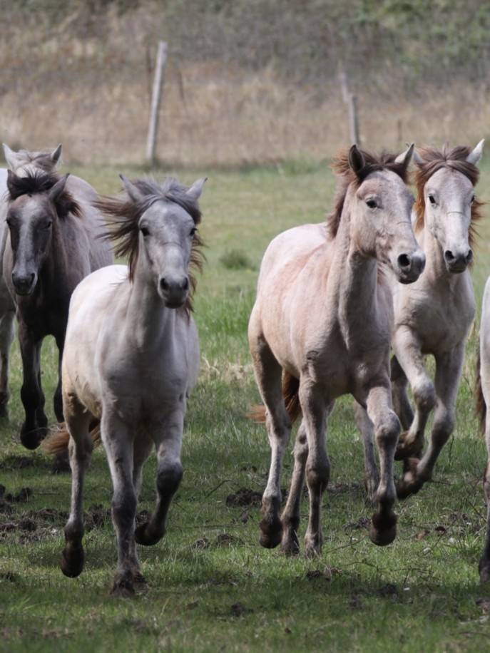Meilleurs voeux 2026 !