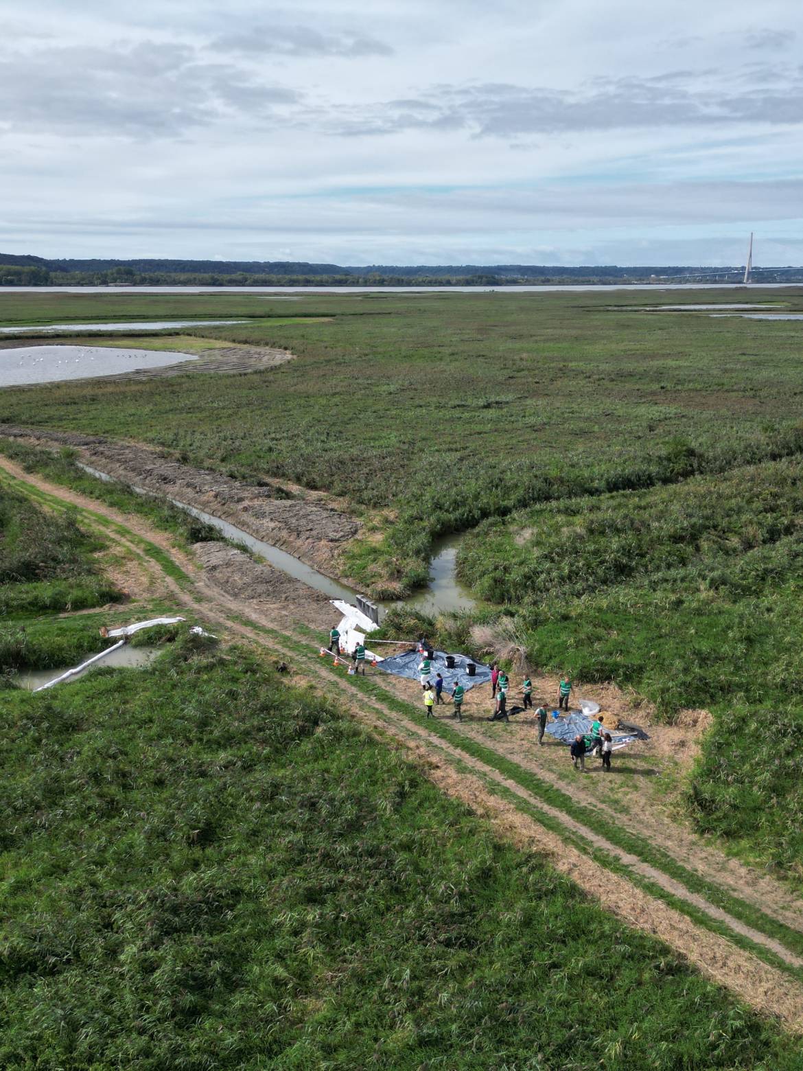La Réserve naturelle de l’estuaire de la Seine a fait face à une pollution fictive