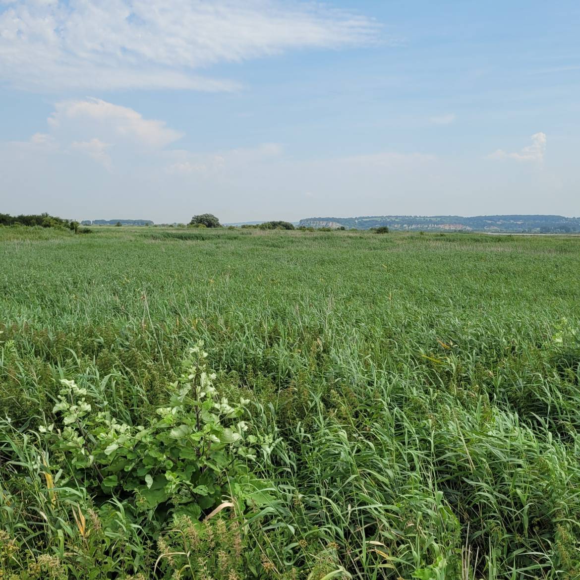 Panorama sur la vall&eacute;e de la Seine