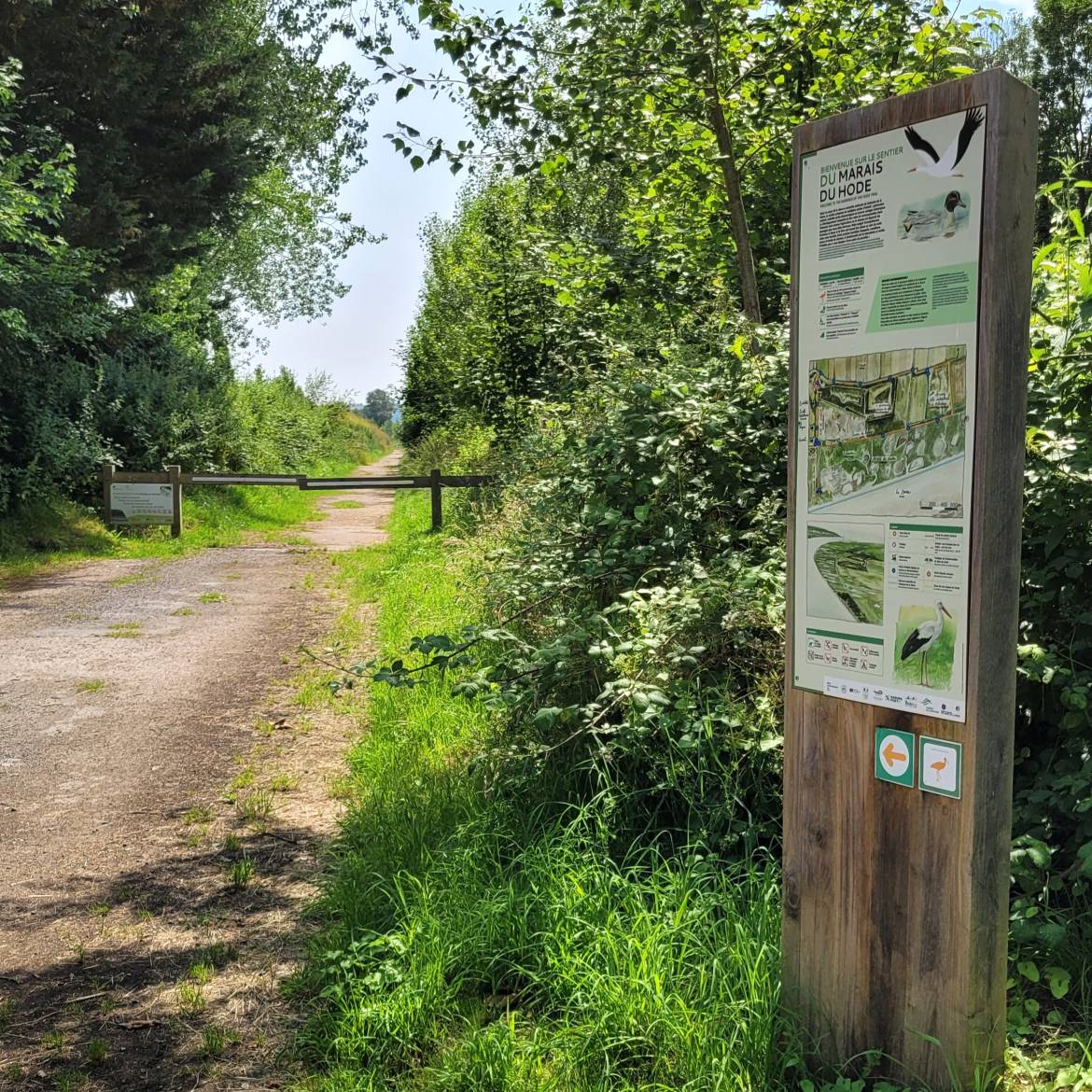 Sentier du marais du Hode - Panneau d'entr&eacute;e