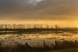 Prairies du Hode inondées au coucher de soleil
