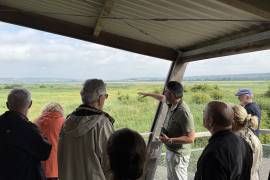 Les visites guidées