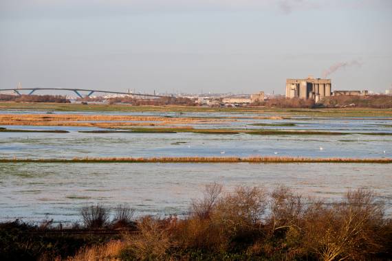 Balade entre roseaux et industries avec LH Port Center - 22/04