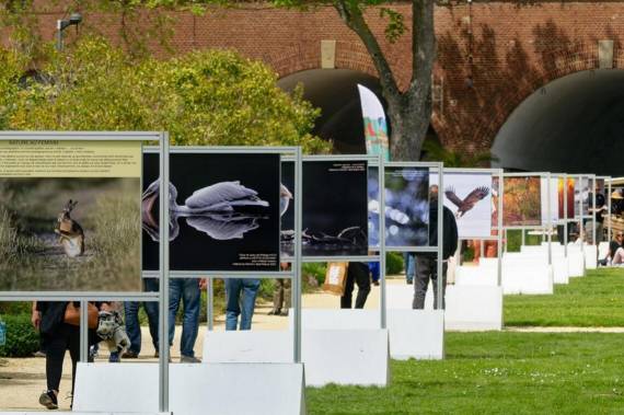 Festival Spot Nature aux Jardins suspendus du Havre - du 23 au 25 mai