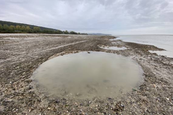 Pêche à pied naturaliste - 23/08