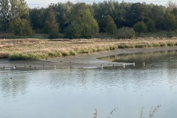 La nature au coeur de Honfleur - 15/11 La nature au coeur de Honfleur - 15/11