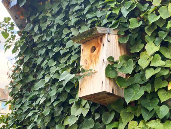 Mercredi Nature - On prépare le printemps ! 18/02