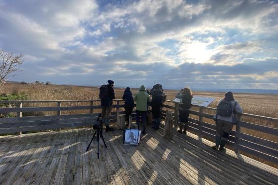 Découverte de la réserve au marais d'Amfard  - 01/03