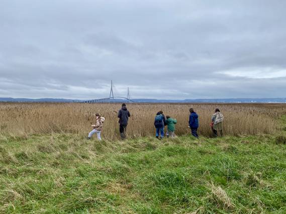 Mercredi Nature - Ça bouge dans l'estuaire ! - 15/04
