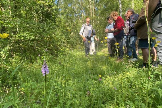 A la découverte des orchidées sauvages - 30/05