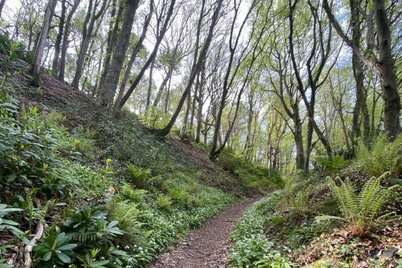 Randonnée crépusculaire entre terre et mer - 05/06