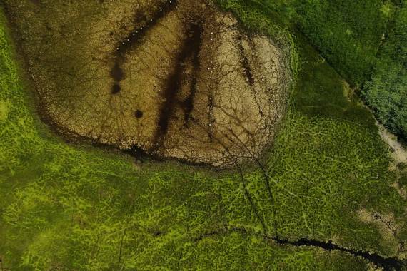 Vue oblique d'une mare de chasse © 7CIS/Maison de l'Estuaire