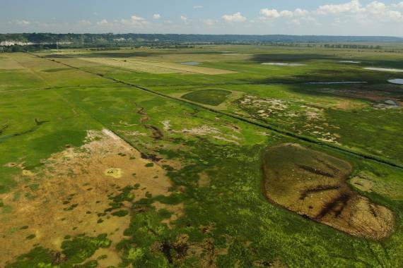 Vue aérienne des prairies subhalophiles © 7CIS/Maison de l'Estuaire