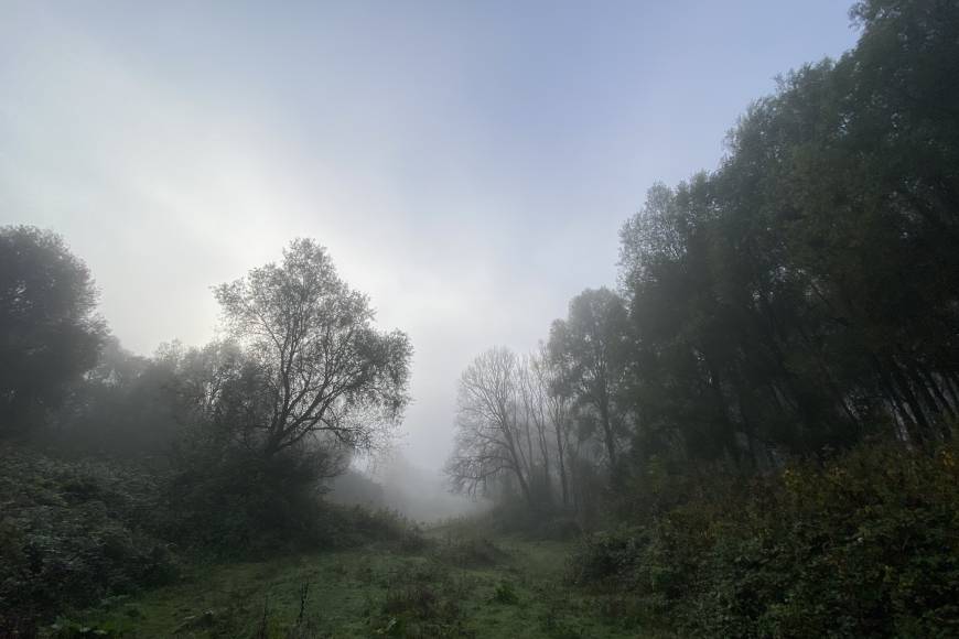 Mercredi Nature - C'est l'automne ! - 28/10