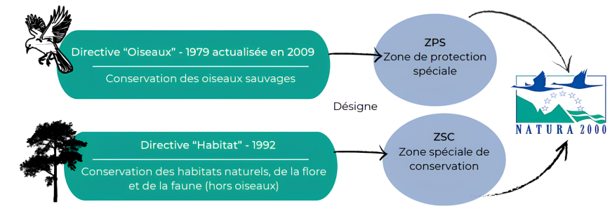 Schéma explicatif du fonctionnement de Natura 2000