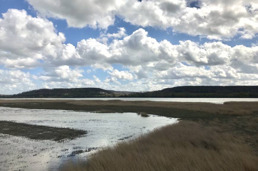Gestion de la réserve de chasse du Banc Herbeux