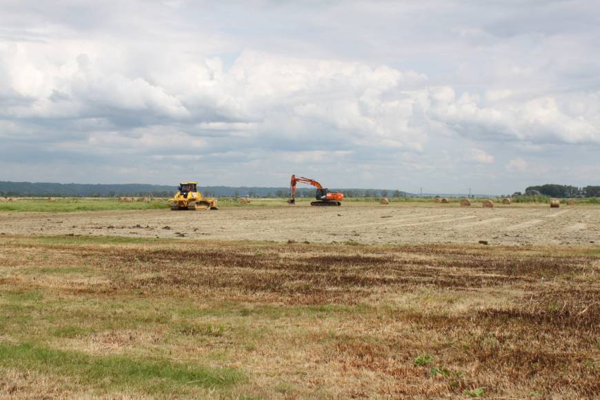 Chantier d'éradication d'une première station de Jussie à grandes fleurs dans la réserve