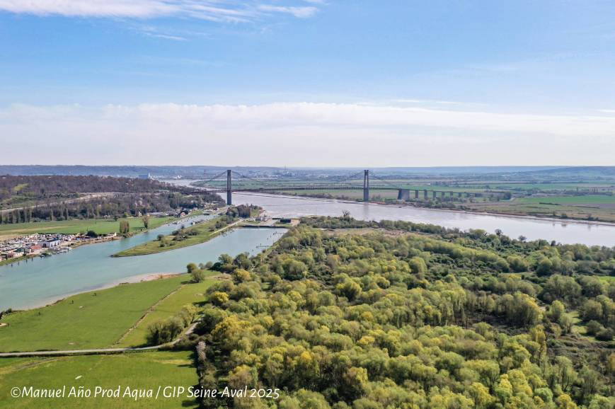 Fermeture temporaire exceptionnelle du sentier du bois des écluses le dimanche 7/12