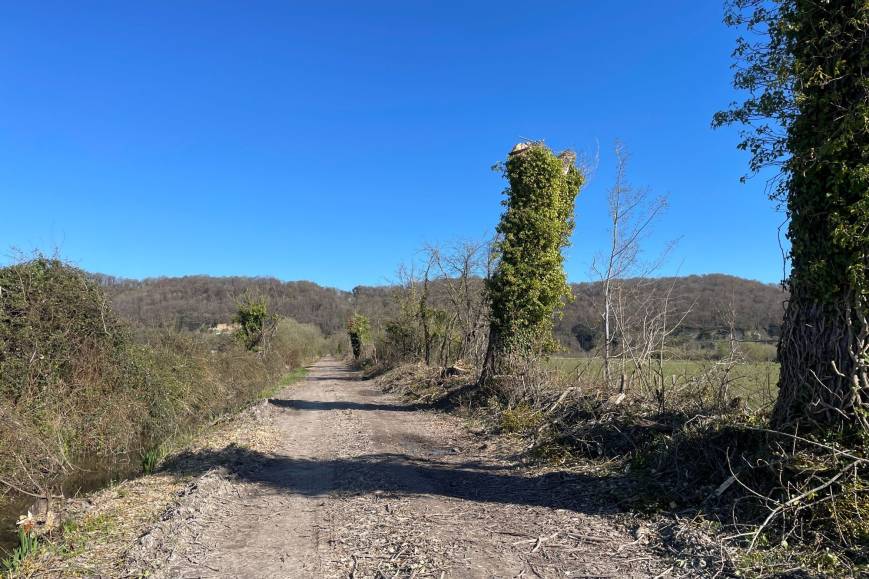 Des travaux d'abattage d'arbres dans le marais de Cressenval