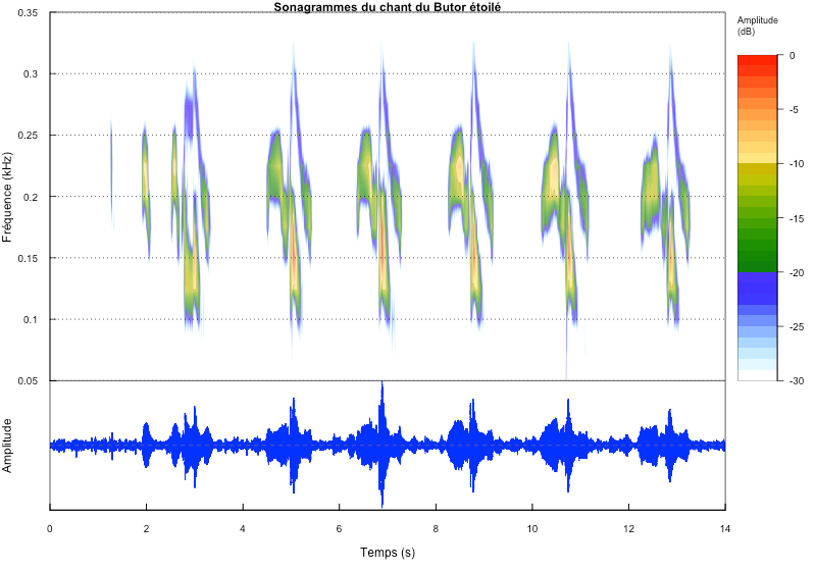 Conférence Bioacoustique & écologie, le 01/02 Maison de l'Estuaire